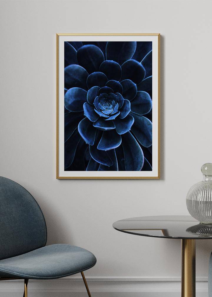 Blue Succulent Poster - KAMANART.DE